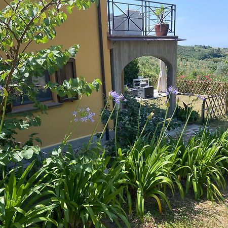 Villa Antonella Castellina Marittima Εξωτερικό φωτογραφία