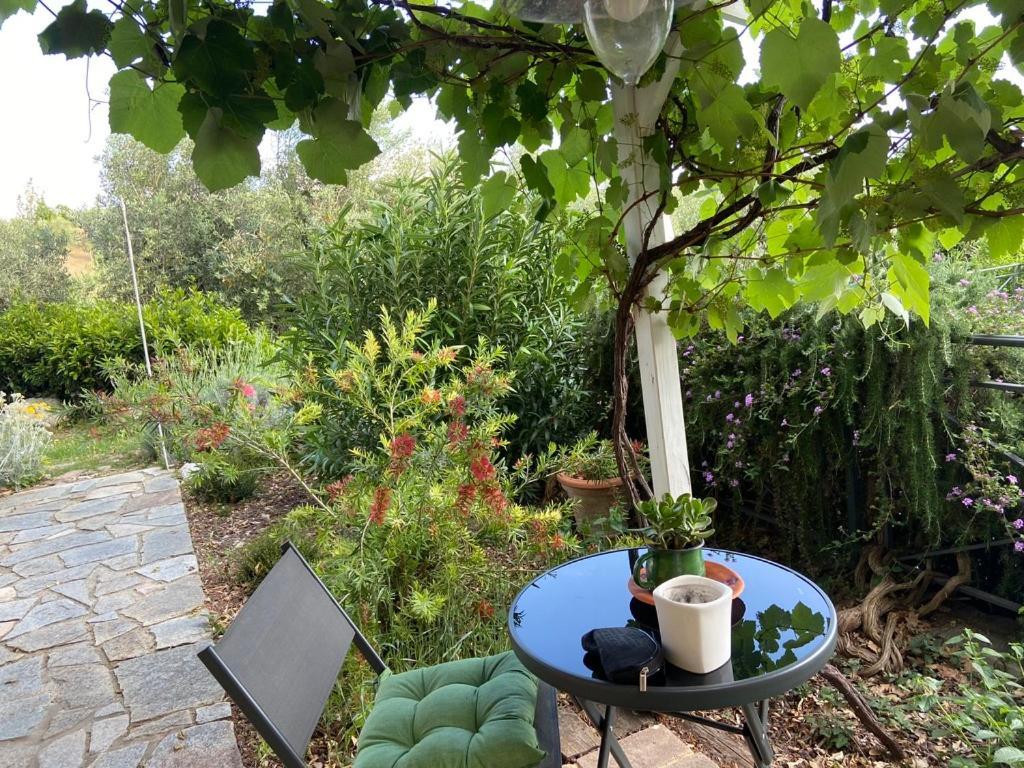 Villa Antonella Castellina Marittima Εξωτερικό φωτογραφία