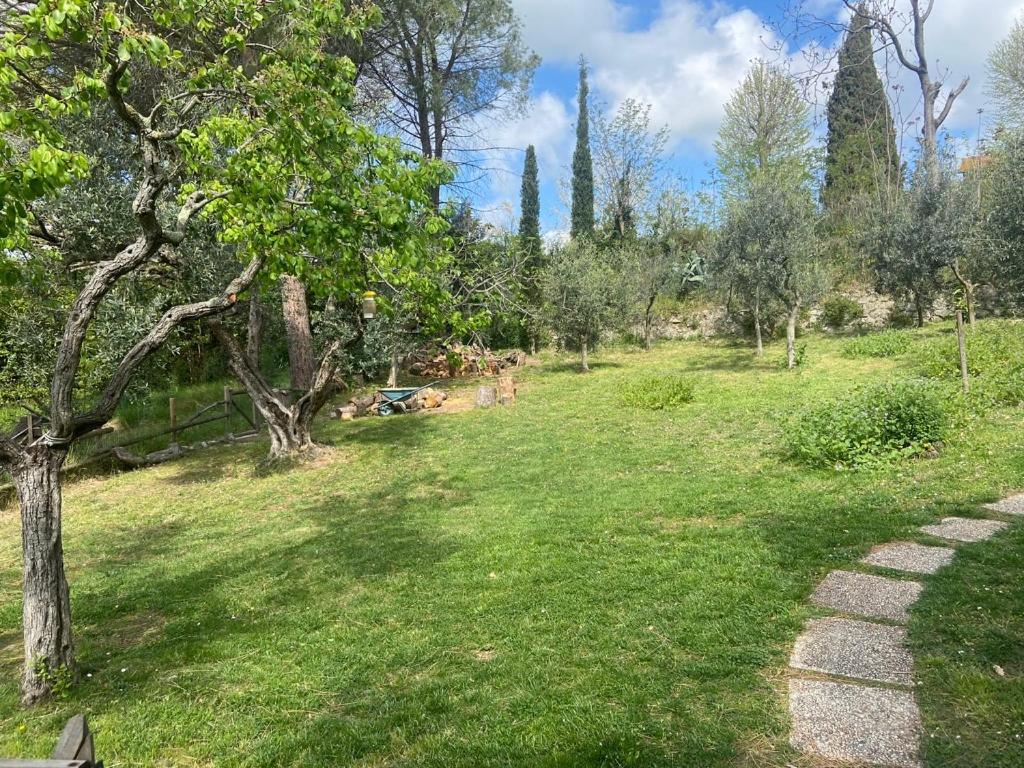 Villa Antonella Castellina Marittima Εξωτερικό φωτογραφία
